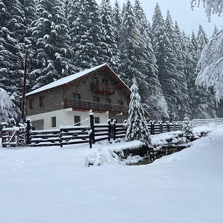 Chiba Chalet Тимишу-де-Жос Экстерьер фото