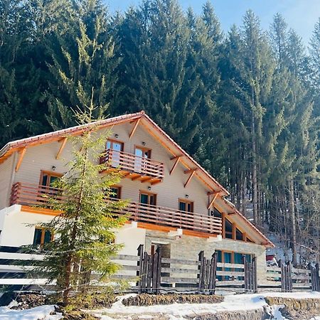 Chiba Chalet Тимишу-де-Жос Экстерьер фото