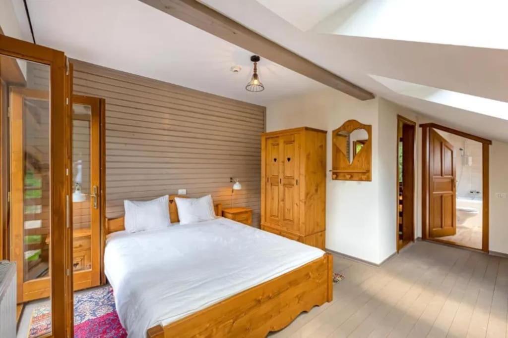 Chiba Chalet Тимишу-де-Жос Экстерьер фото