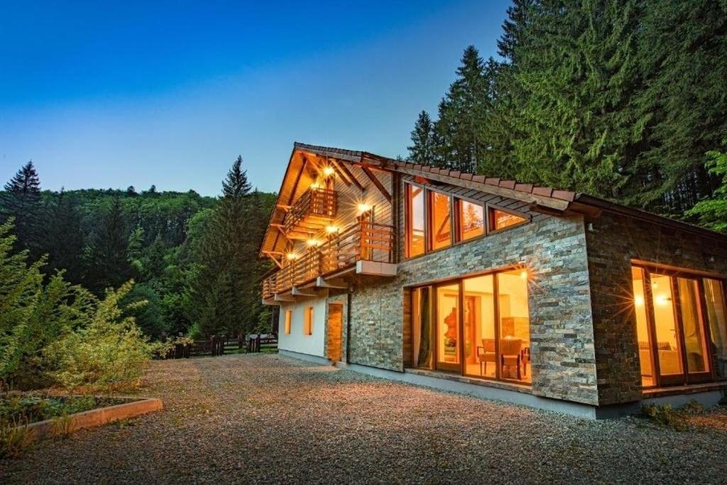 Chiba Chalet Тимишу-де-Жос Экстерьер фото