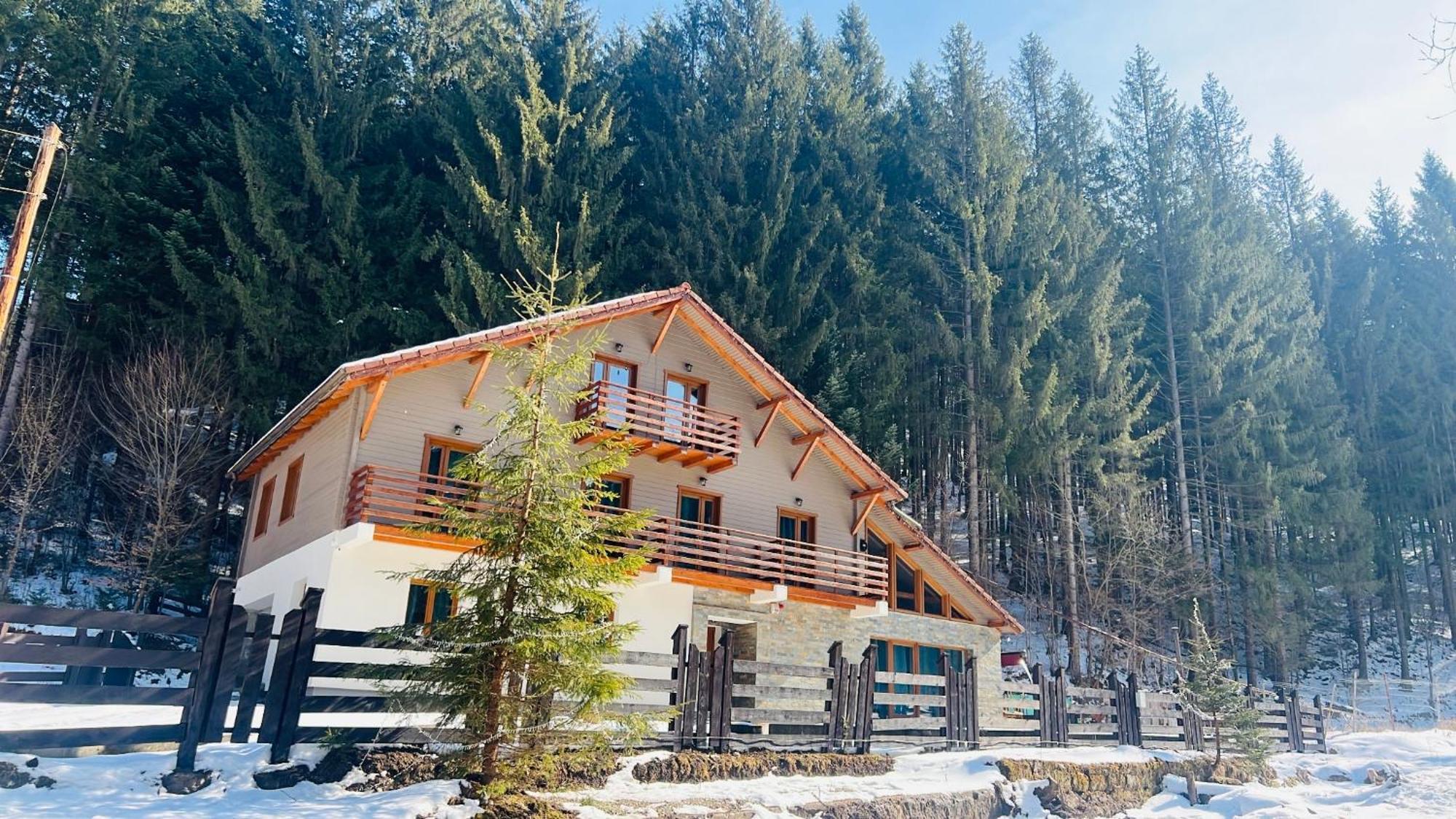 Chiba Chalet Тимишу-де-Жос Экстерьер фото