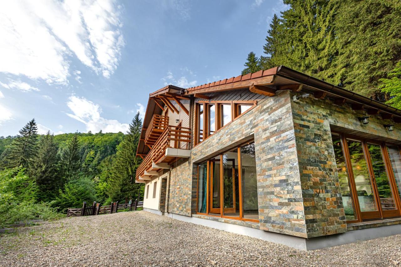 Chiba Chalet Тимишу-де-Жос Экстерьер фото