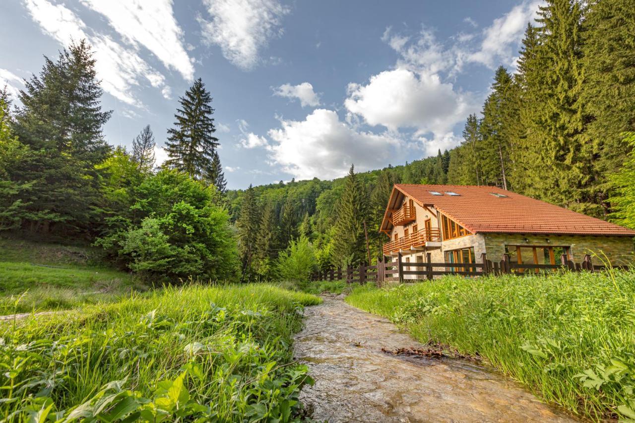 Chiba Chalet Тимишу-де-Жос Экстерьер фото