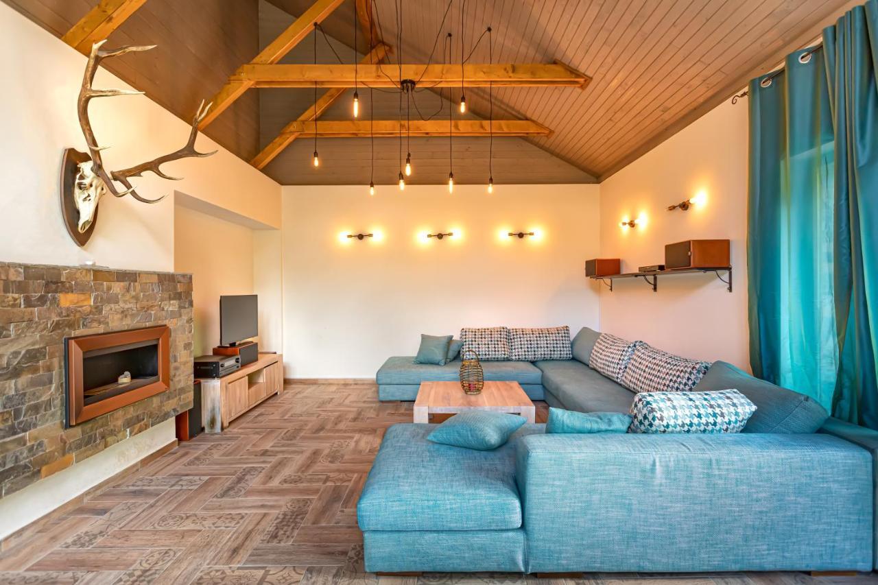 Chiba Chalet Тимишу-де-Жос Экстерьер фото