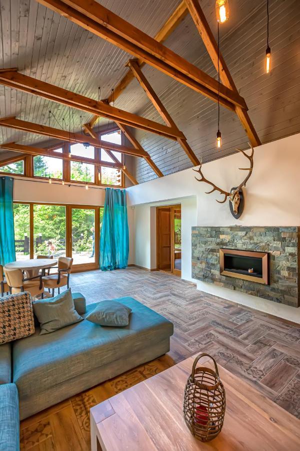 Chiba Chalet Тимишу-де-Жос Экстерьер фото